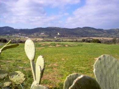 Natura di Sardegna